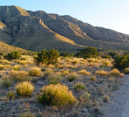 Texas Desert Landscapes