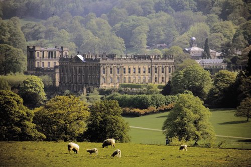 Sheep in front of Chatsworth