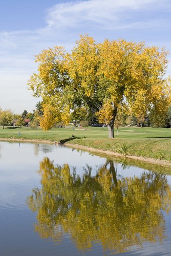 picture of city park denver planetware City Park Golf Course 334x500