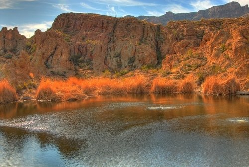 Early morning on a desert pond, New Mexico.