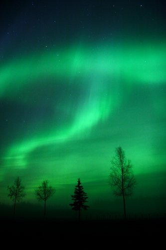 Aurora Borealis near Fairbanks