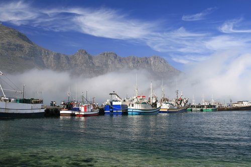 hout bay bearing