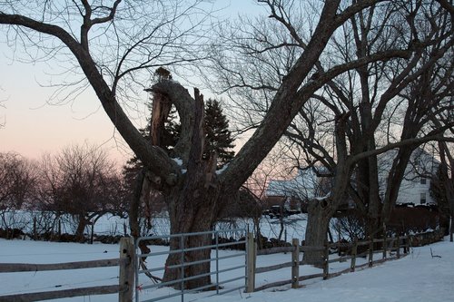 Winter scene in Ipswich, MA.