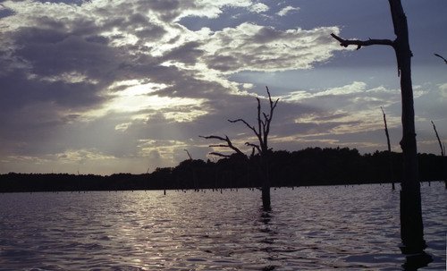 Lake Palestine, Texas.