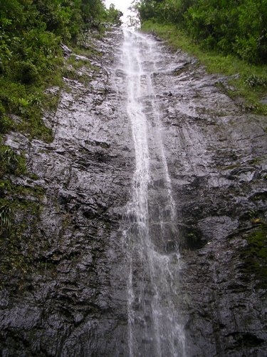 Manoa Falls information