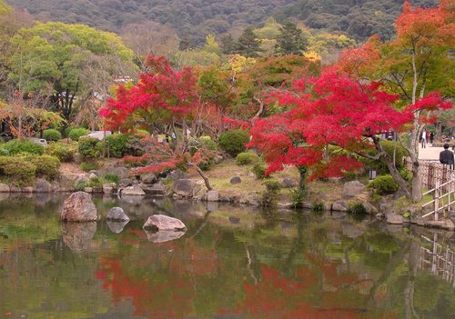 Autumn in the Maruyama park in