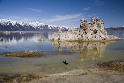 Mono Basin National Forest