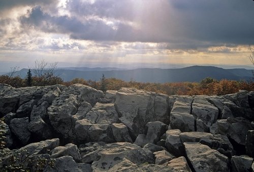 Wv Forest