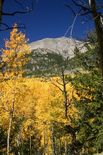 picture of mount shavano state fish hatchery salida planetware Mt. Shavano Fish Hatchery 333x500