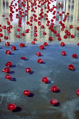 Red floating bulbs at the Glass Museum in Tacoma.