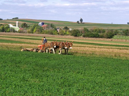 Pennsylvania Dutch Farm