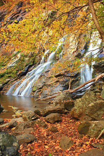 Shenandoah National Park.