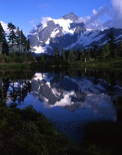 north cascades national park canvas