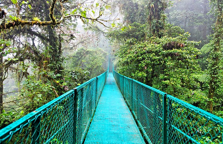 Monteverde and the Cloud Forests