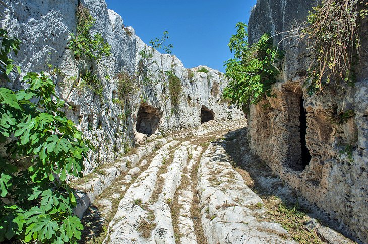 Parco Archeologico della Neapolis, Syracuse