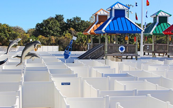 The maze at Coconut Creek Family Fun Park