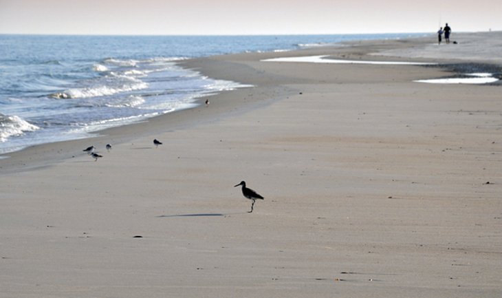 St George Island State Park