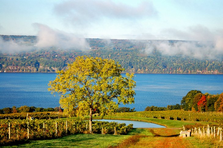 Finger Lakes