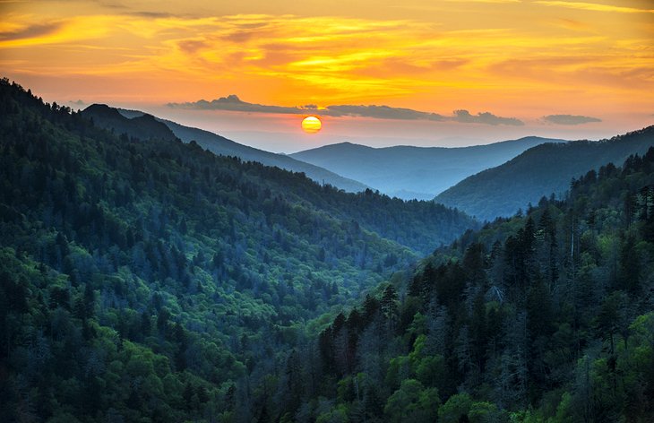The Smokies: The Great Smoky Mountains National Park