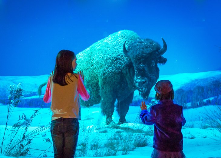 State Museum of Pennsylvania