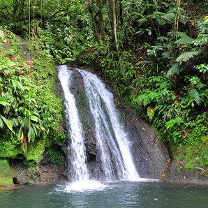 8 Top-rated Tourist Attractions In Pointe-a-pitre 