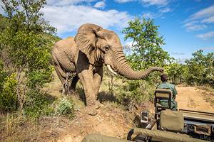 Africa's Best Game Reserves