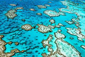 Visiting the Great Barrier Reef: 11 Top-Rated Attractions & Things to Do