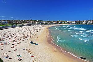15 Top-Rated Beaches in Sydney, Australia