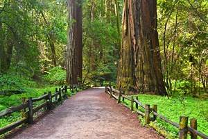 15 Top-Rated Hiking Trails near Santa Cruz, CA