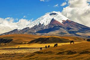 10 Top-Rated Tourist Attractions in Ecuador