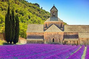 17 Top-Rated Attractions of Parc Naturel Régional du Luberon, Provence