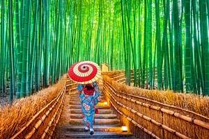 Japan in Pictures: 20 Beautiful Places to Photograph