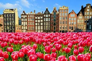 15 Top-Rated Cities in the Netherlands