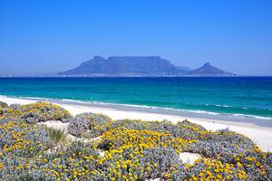 14 Best Beaches in Cape Town
