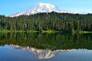 Top-Rated Campgrounds at Mt. Rainier National Park