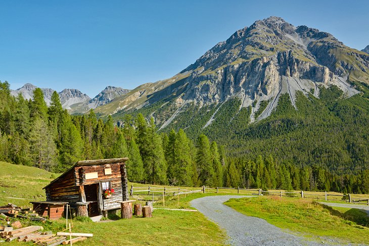 Hiking trail in the Swiss National Park