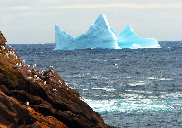 Iceberg off the coast of Newfoundland