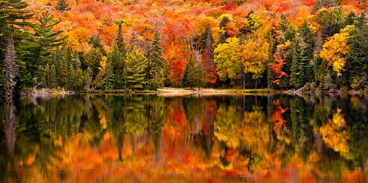 Canisbay Lake, Algonquin Provincial Park