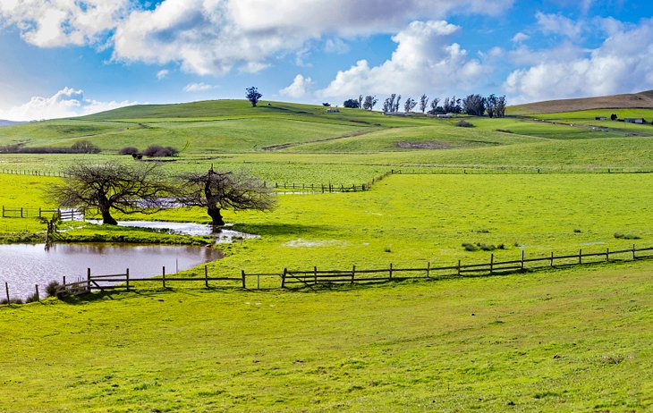 Napa farmland