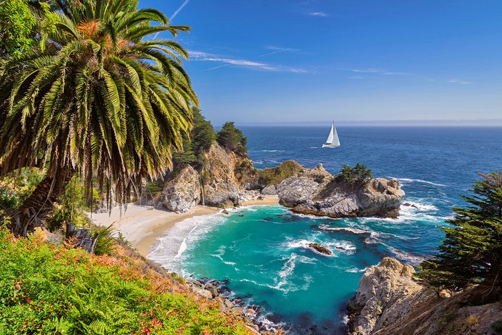 Julia Pfeiffer Burns State Park