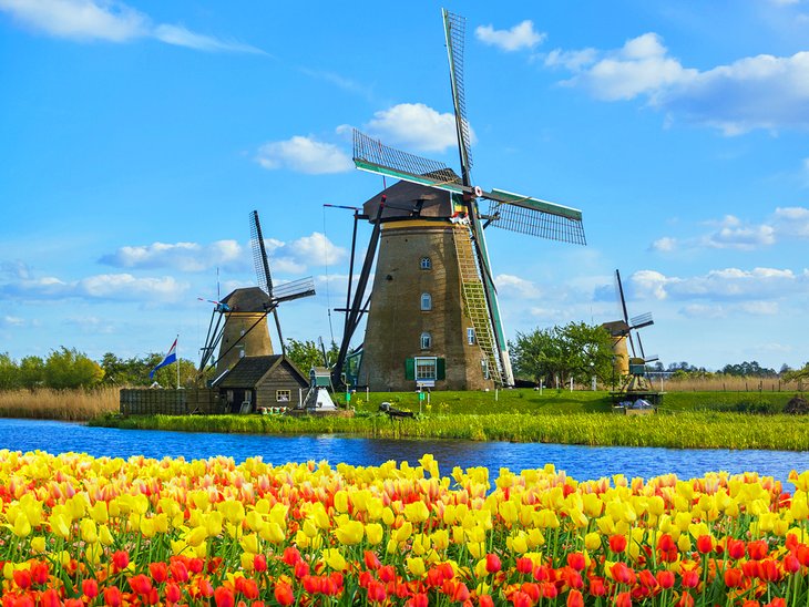 Classic spring scene in the Netherlands