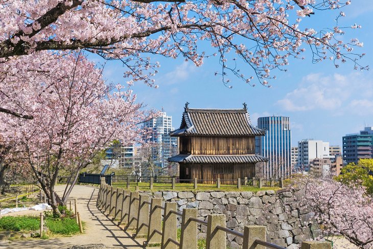 The ruins of Fukuoka Castle in Maizuru Park