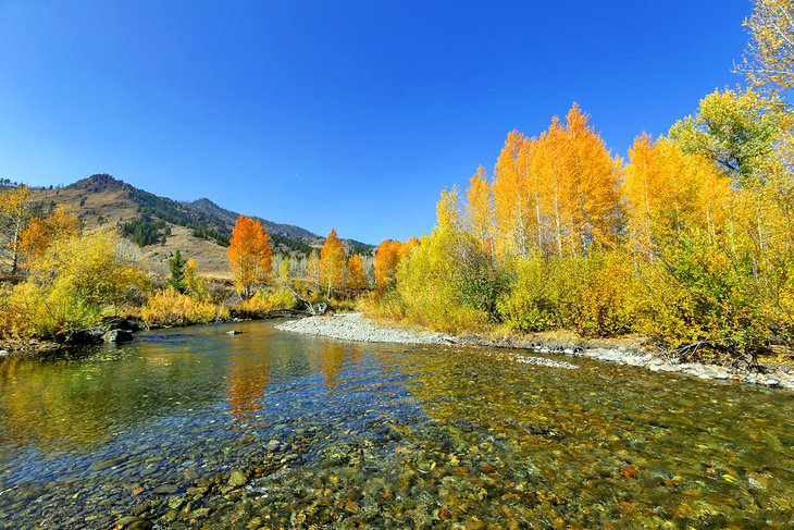 Autumn colors on the Big Wood River in Sun Valley, Idaho