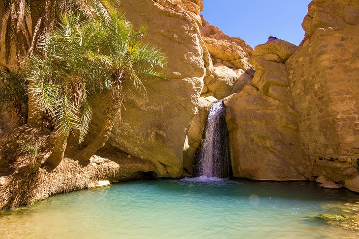 Waterfall in the Chebika Oasis