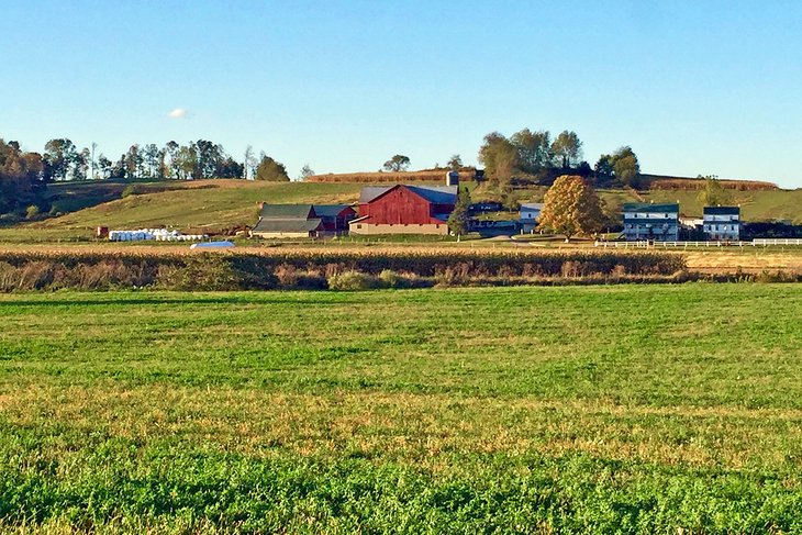 Amish farm in Ohio