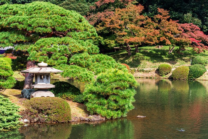 Shinjuku Gyoen park