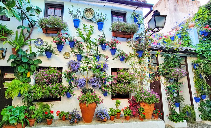 Fiesta de los Patios de Córdoba