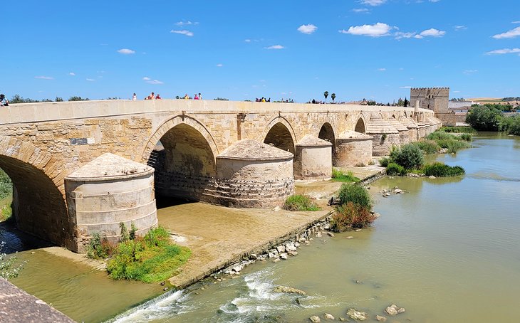 Puente Romano and Calahorra Tower