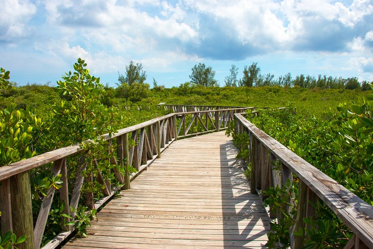 Wooden walkway in Lucayan National Park