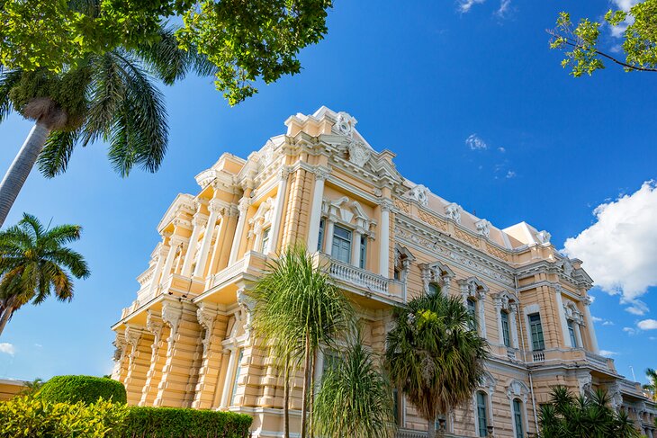 The Natural History Museum and Palacio Canton